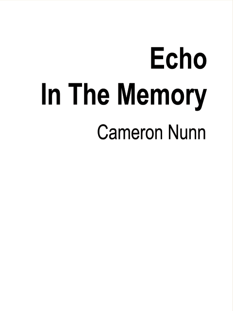 Echo in the Memory