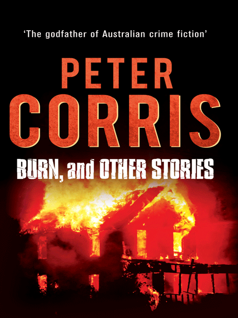 Burn, and Other Stories