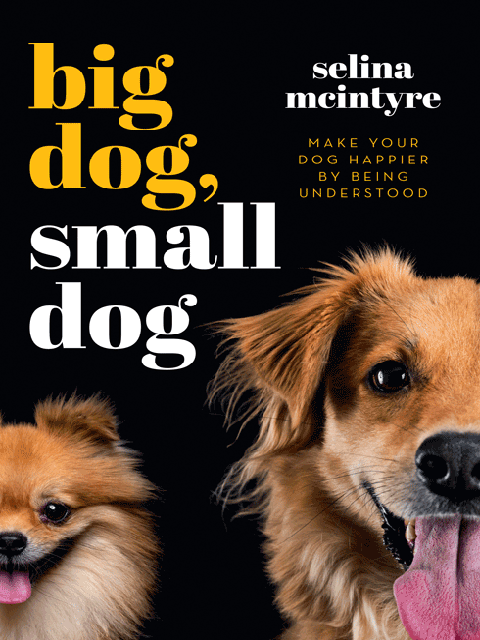 Big Dog Small Dog