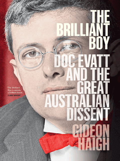 The Brilliant Boy