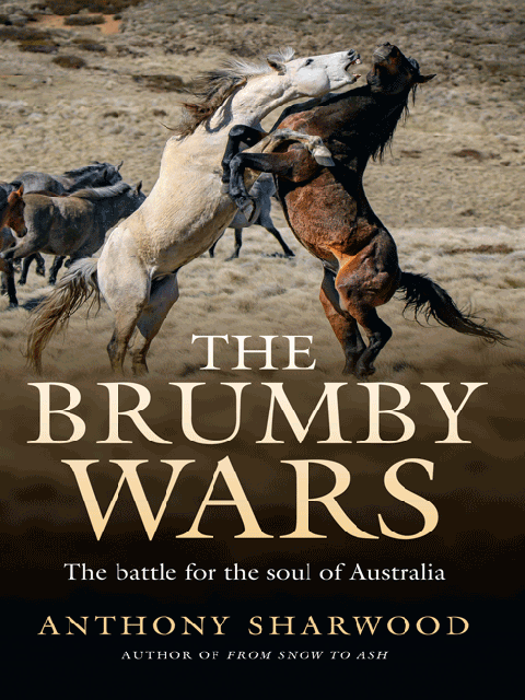 The Brumby Wars