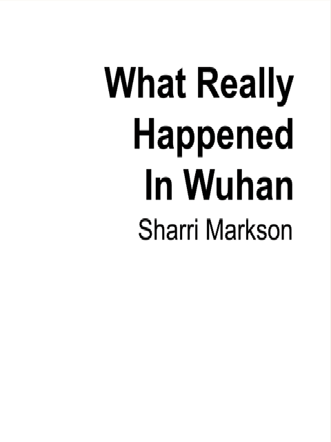 What Really Happened In Wuhan