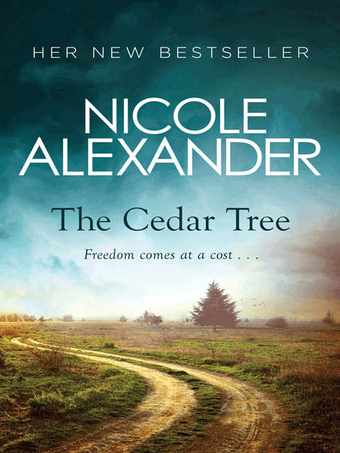 The Cedar Tree