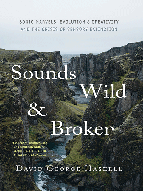 Sounds Wild and Broken