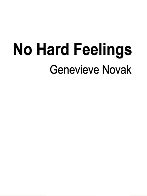 No Hard Feelings