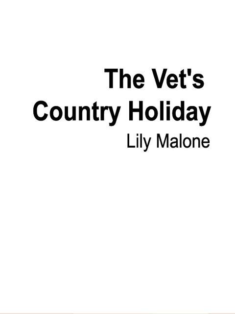 The Vet's Country Holiday
