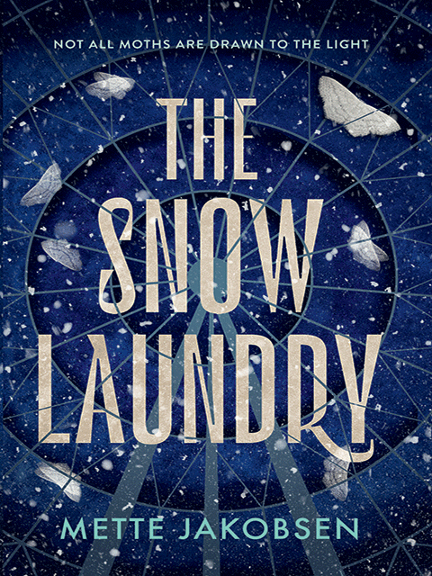 The Snow Laundry