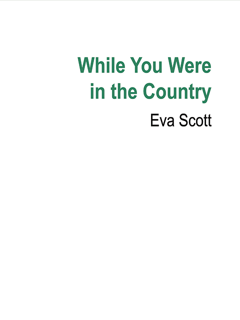 While You Were in the Country