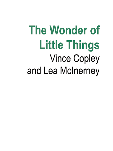 The Wonder of Little Things
