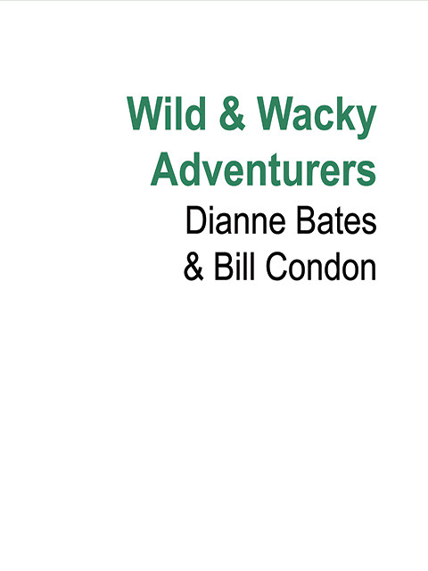 Wild & Wacky Adventurers