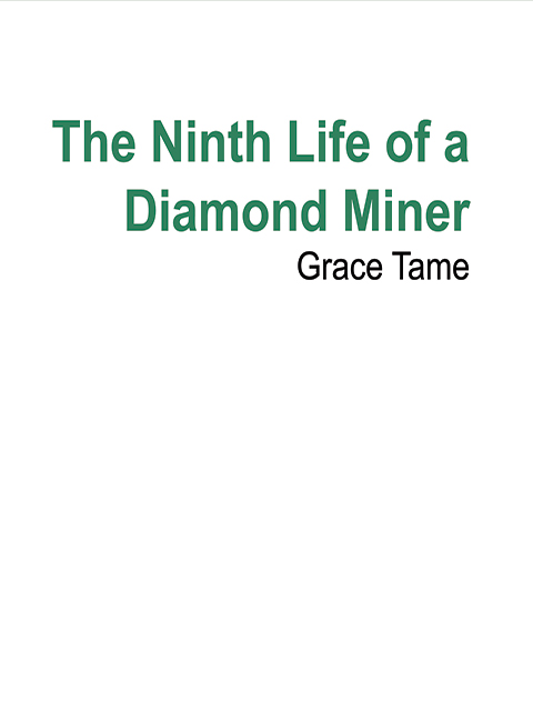 The Ninth Life of a Diamond Miner