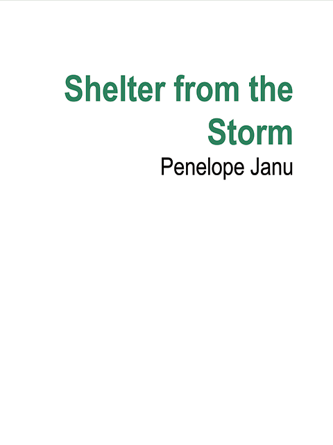 Shelter from the Storm