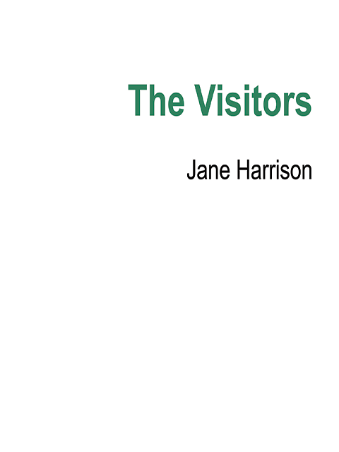 The Visitors