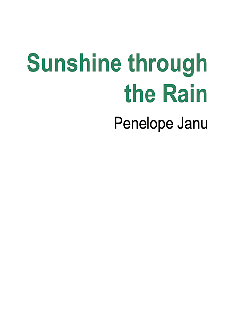 Sunshine through the Rain