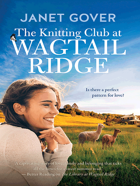 The Knitting Club At Wagtail Ridge