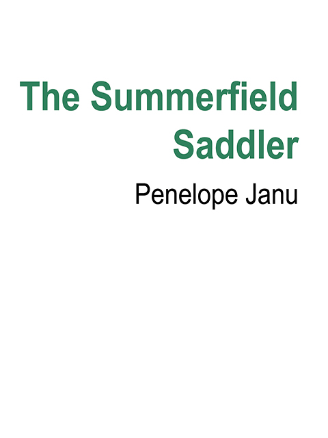 The Summerfield Saddler